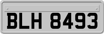 BLH8493