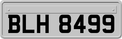 BLH8499