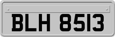BLH8513