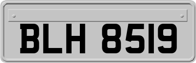 BLH8519