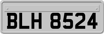 BLH8524