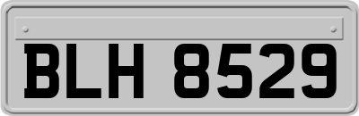 BLH8529