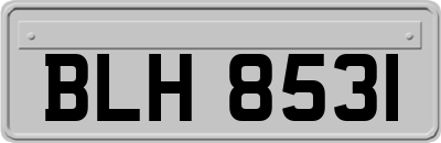 BLH8531