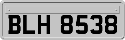 BLH8538