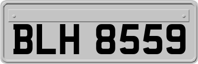 BLH8559
