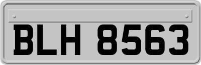 BLH8563