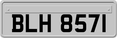 BLH8571