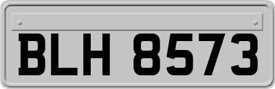 BLH8573
