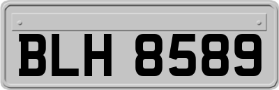 BLH8589