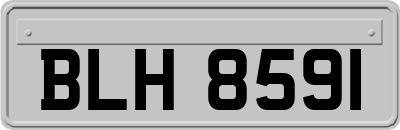 BLH8591