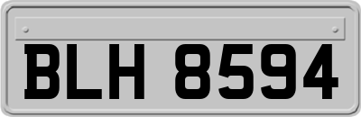 BLH8594