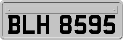 BLH8595