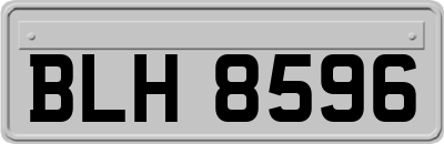 BLH8596