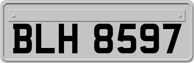 BLH8597