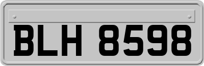 BLH8598