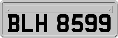 BLH8599