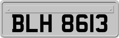 BLH8613