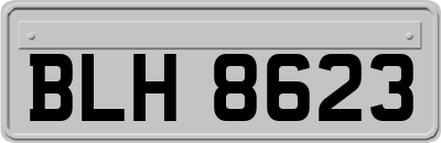 BLH8623