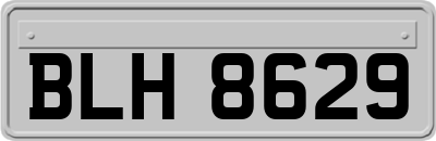 BLH8629