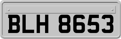 BLH8653
