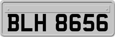 BLH8656