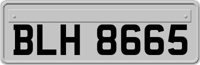 BLH8665