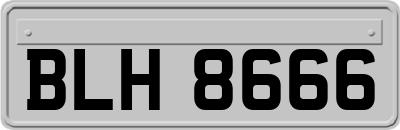 BLH8666