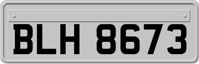 BLH8673