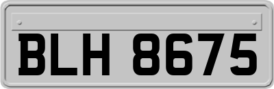 BLH8675