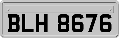 BLH8676