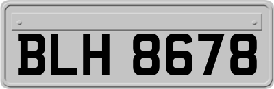 BLH8678