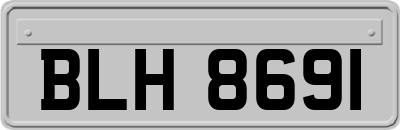 BLH8691