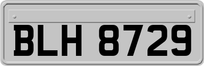 BLH8729