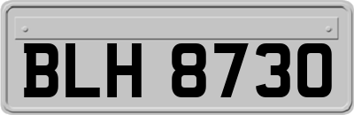 BLH8730
