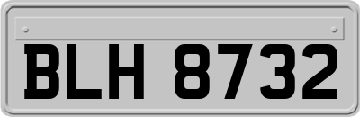 BLH8732
