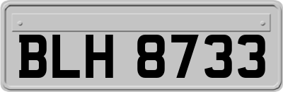 BLH8733
