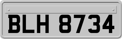 BLH8734