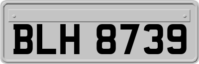 BLH8739