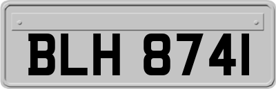 BLH8741