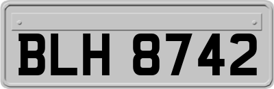 BLH8742