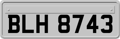 BLH8743