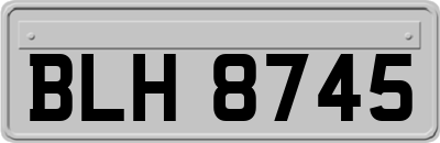 BLH8745