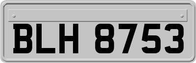 BLH8753
