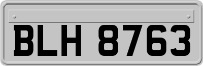 BLH8763