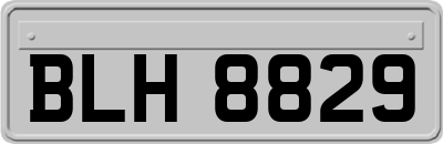 BLH8829
