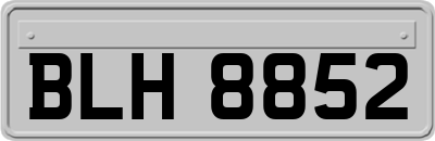 BLH8852