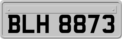 BLH8873