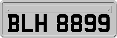 BLH8899