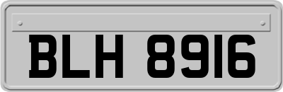 BLH8916