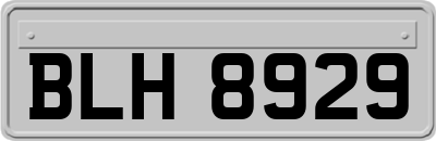 BLH8929